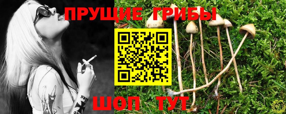 Псилоцибиновые грибы прущие грибы Назрань