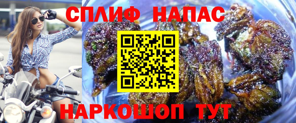 Каннабис семена  Каннабис гибрид  Вход с VPN  Конопля THC 21%  Назрань  Шишки марихуана план 